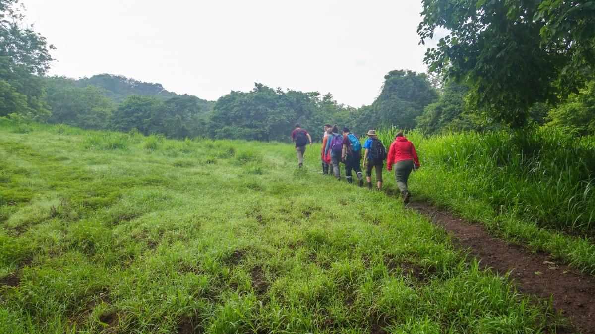 学生们在长满草的小山上徒步行走.